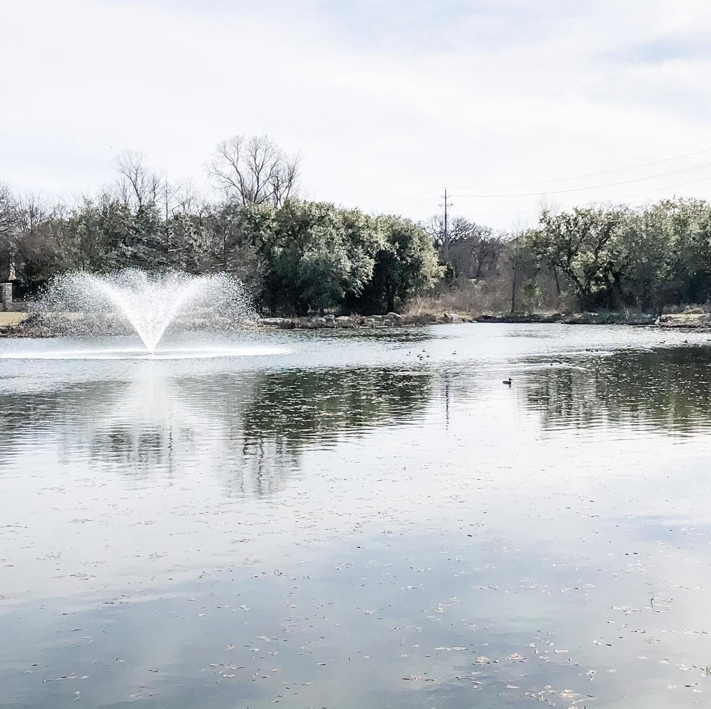 Avery Ranch pond and fountain